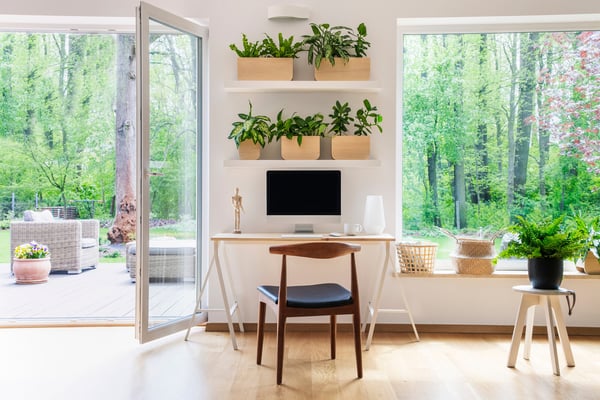 Airy room with natural lighting and plants